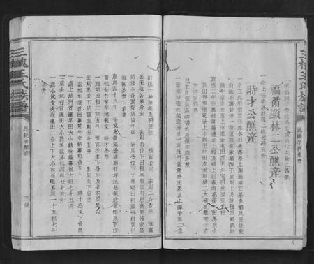 江西王氏族谱-三槐王氏族谱.pdf电子版插图5