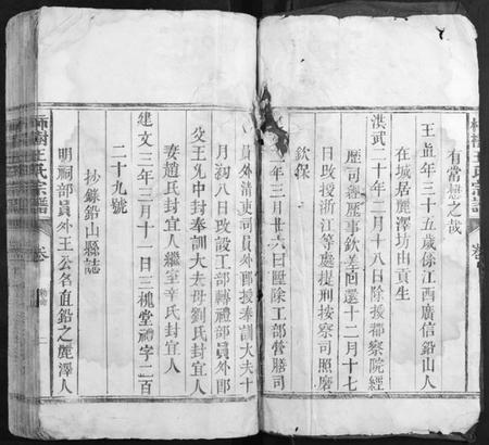 江西王氏族谱-柿村王氏族谱[2卷].pdf电子版插图2