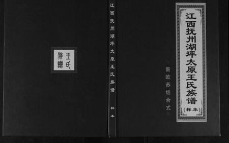 江西王氏族谱-江西抚州湖坪太原王氏族谱.pdf电子版插图