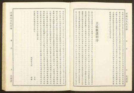 江西王氏族谱-洋塘坑王氏宗谱.pdf电子版插图5