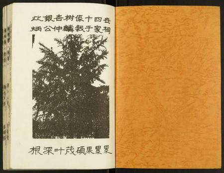 江苏乔氏族谱-盐城乔氏宗谱.pdf电子版插图1