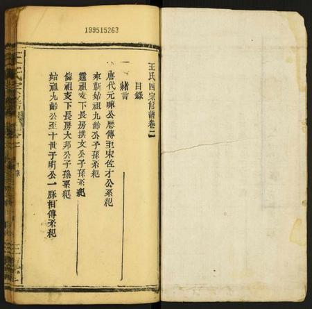 江西王氏族谱-王氏宗谱.pdf电子版插图1