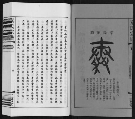 江苏秦氏族谱-秦氏宗谱.pdf电子版插图2