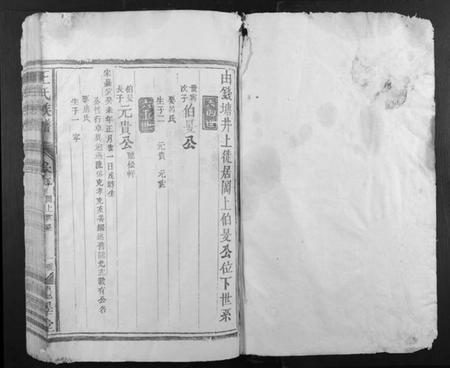 江西王氏族谱-王氏族谱.pdf电子版插图1
