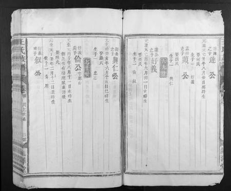 江西王氏族谱-王氏族谱.pdf电子版插图3