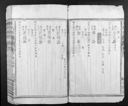 江西王氏族谱-王氏族谱.pdf电子版插图4