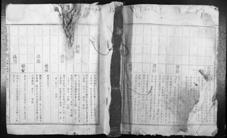 江西王氏族谱-王氏重修族谱.pdf电子版插图