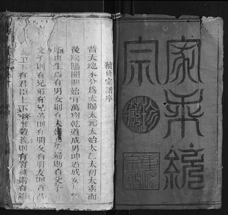江西王氏族谱-华峰王氏宗谱 [2卷].pdf电子版插图1