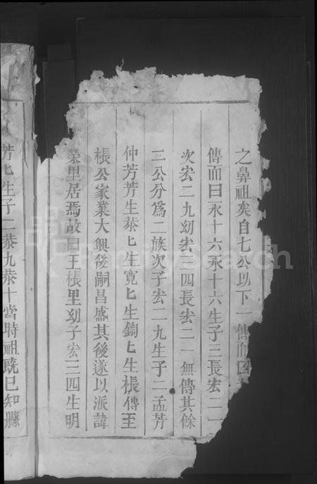 江西王氏族谱-琅琊王氏宗谱 [残卷].pdf电子版插图4