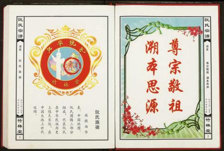 湖北阮氏族谱-阮氏宗谱.pdf电子版插图2