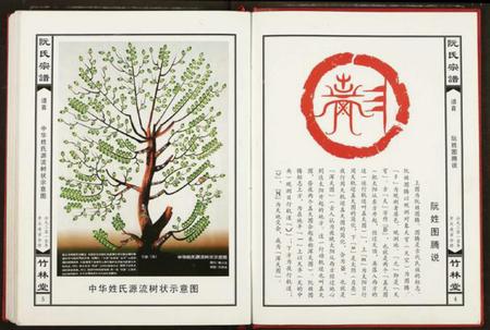 湖北阮氏族谱-阮氏宗谱.pdf电子版插图3