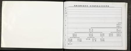 江苏阮徐氏徐氏族谱-阮徐氏谱.pdf电子版插图1