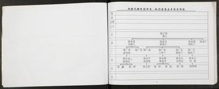 江苏阮徐氏徐氏族谱-阮徐氏谱.pdf电子版插图3