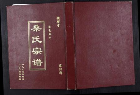江苏桑氏族谱-桑氏宗谱.pdf电子版插图