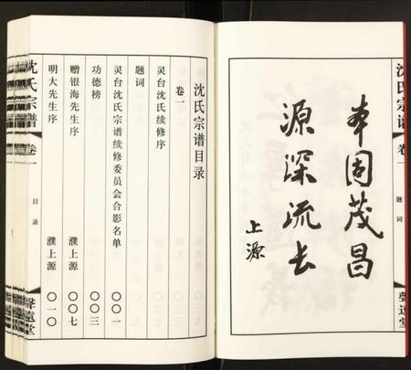 江苏沈氏族谱-沈氏宗谱.pdf电子版插图5