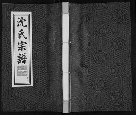 江苏沈氏族谱-沈氏宗谱.pdf电子版插图