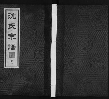 江苏沈氏族谱-沈氏宗谱[28卷].pdf电子版插图