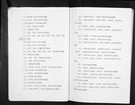 湖北沈氏族谱-沈氏东林堂族谱.pdf电子版插图4