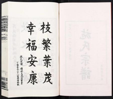 江苏施氏族谱-施氏宗谱[8卷].pdf电子版插图3