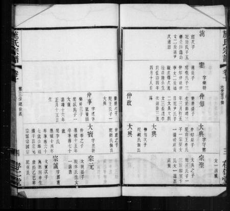江苏施氏族谱-施氏宗谱.pdf电子版插图4