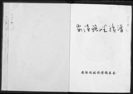 湖北施氏族谱-安陆施姓族谱.pdf电子版插图2
