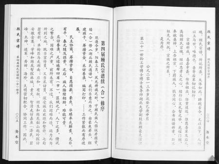 湖北硕氏族谱-硕氏宗谱.pdf电子版插图5