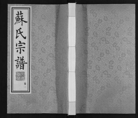 江苏苏氏族谱-苏氏宗谱[10卷].pdf电子版插图