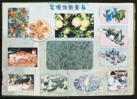 江西未知族谱-岭背镇志.pdf电子版插图3