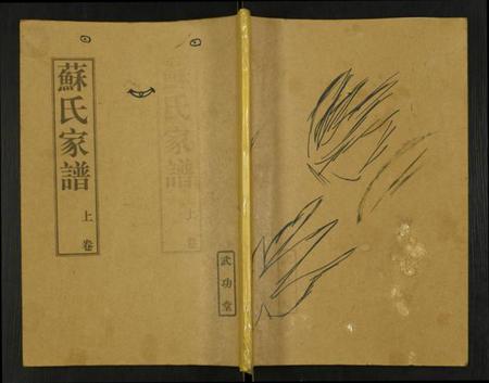 江苏苏氏族谱-苏氏家谱.pdf电子版插图