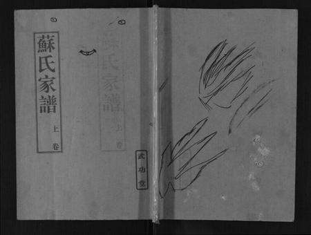 江苏苏氏族谱-苏氏家谱.pdf电子版插图