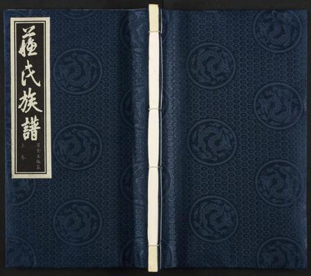 江苏苏氏族谱-苏氏族谱 [上下2卷].pdf电子版插图