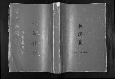 湖北苏氏族谱-苏氏宗谱.pdf电子版插图