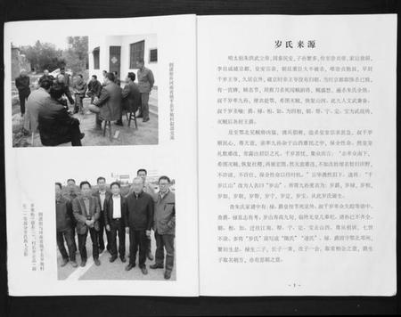 江苏岁氏族谱-岁氏家谱.pdf电子版插图3