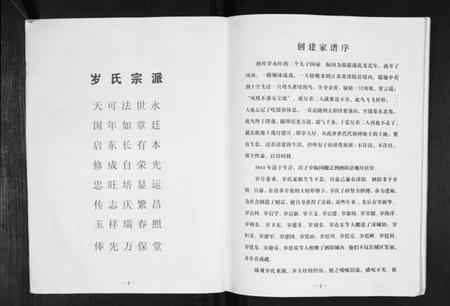 江苏岁氏族谱-岁氏家谱.pdf电子版插图4