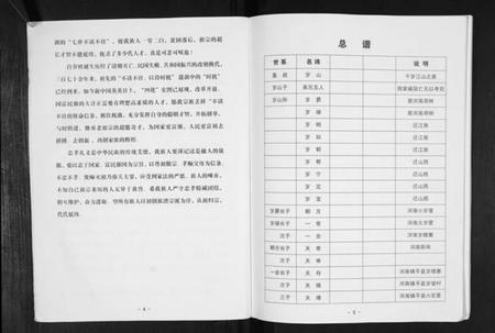 江苏岁氏族谱-岁氏家谱.pdf电子版插图5