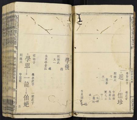 江西魏氏族谱-万载花溪魏氏族谱.pdf电子版插图4