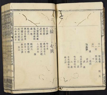 江西魏氏族谱-万载花溪魏氏族谱.pdf电子版插图5