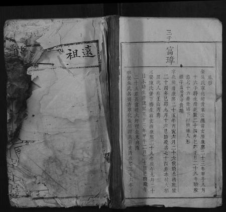 江西温氏族谱-堂下雅儒堂温氏七修族谱.pdf电子版插图