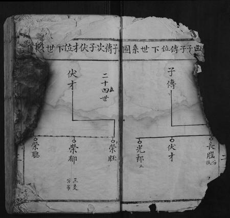 江西温氏族谱-堂下雅儒堂温氏七修族谱.pdf电子版插图3