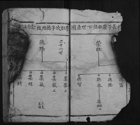 江西温氏族谱-堂下雅儒堂温氏七修族谱.pdf电子版插图4