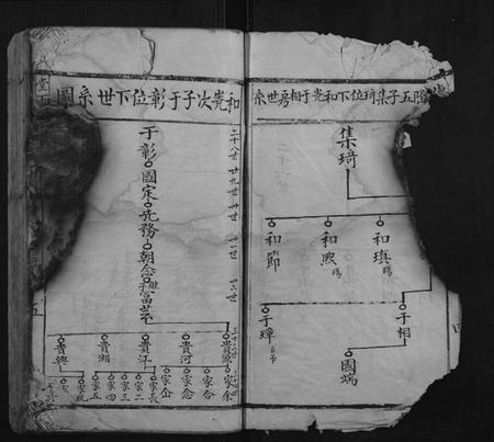 江西温氏族谱-堂下雅儒堂温氏七修族谱.pdf电子版插图5