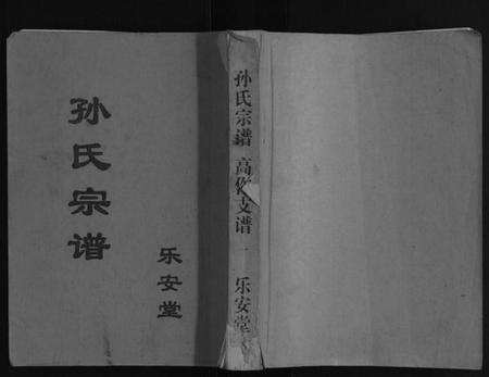 江苏孙氏族谱-孙氏宗谱.pdf电子版插图