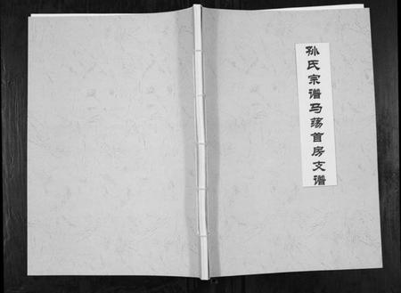 江苏孙氏族谱-孙氏宗谱马荡首房支谱[不分卷].pdf电子版插图