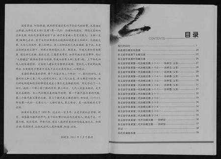 江苏孙氏族谱-孙氏家谱.pdf电子版插图3