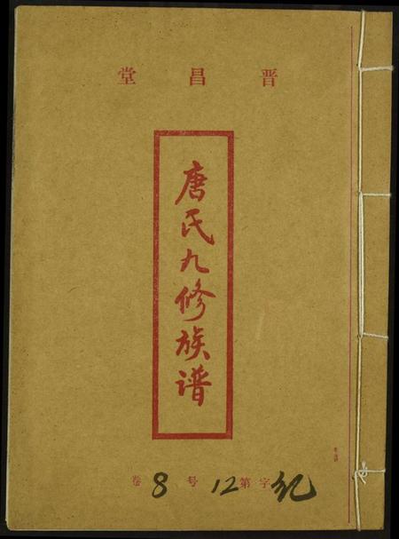 中国唐氏族谱-唐氏九修族谱.pdf电子版插图