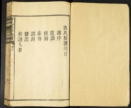 中国唐氏族谱-唐氏重修族谱.pdf电子版插图2