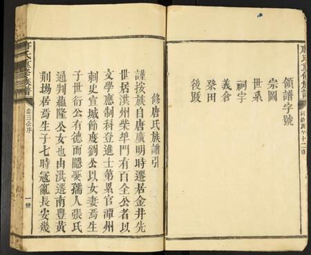 中国唐氏族谱-唐氏重修族谱.pdf电子版插图3