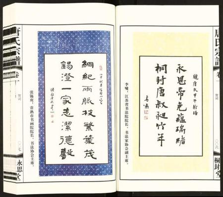 江苏唐氏族谱-唐氏宗谱.pdf电子版插图5