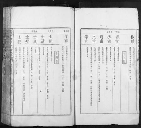 江西吴氏族谱-永丰中沙吴氏九修族谱.pdf电子版插图2