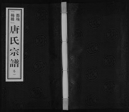 江苏唐氏族谱-唐氏宗谱.pdf电子版插图